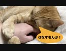 離さない