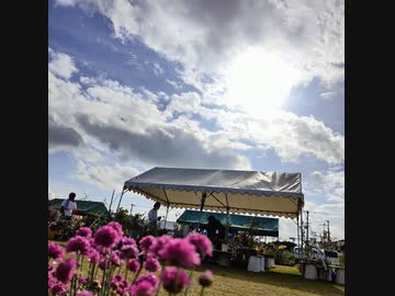 2023年3月の沖縄市大植木市開催決定！