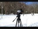 ビデオ三脚 リーベック TH-Z