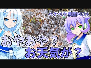 2023年2月8日　農作業日誌P534　霰は降るが野菜の種まきを始めた　VOICEVOX
