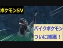 【初見プレイ実況】久々のポケモン乱獲！ポケモンスカーレット　図鑑完成を目指す【part24】