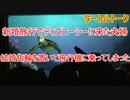 【新婚旅行】結婚指輪を置いて飛行機に乗ってしまった【タートルトーク】東京ディズニーシー