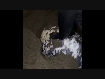 ホモと見るZ世代のドッキリ