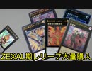 【遊戯王】秋葉原に行ってZEXAL時代のレリーフ大量する