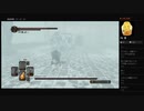 【DARK SOULS II】王の仔アーヴァ（めるなま録画）
