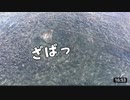 フジサワ　プレコール　CM