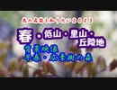 【花の名前を知りたい】 2023_春・低山・里山・丘陵地　(背景映像:早春・広葉樹の森)