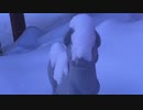 ぶらり散歩　#35　2023/2/9