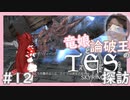 【SkyrimSE】竜娘と論破王のスカイリム探訪#12【ゆっくり/CoeFont実況】【メド/ひろゆき】