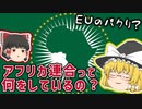 アフリカ連合って何してんの？主な取り組みと課題【ゆっくり解説】