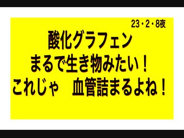 23/2/9昼　キモ！血管の中で蠢く、酸化グラフェン