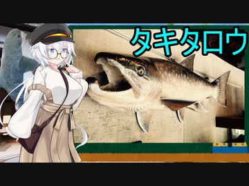 紲星あかりとオカルト タキタロウ【VOICEROID解説】