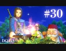 【実況】感情が昂りがちな人間が勇者と冒険する初見プレイ part30【ドラゴンクエスト11S】