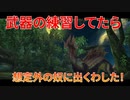 【実況】ぼっちハンターが行く！モンスターハンターXX 第26回