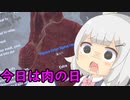 肉の日のゲーム【小春六花実況】