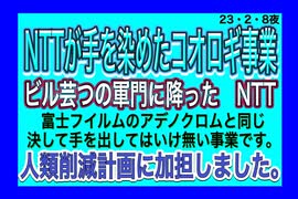 23/2/8夜　自滅への道　NTT