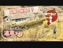【地元紹介祭】隠れた大阪を見つけよう！【小春六花の道草ライド】