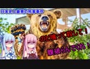 【ボイロ解説】女性ばかりを狙った人喰い熊【三毛別羆事件】
