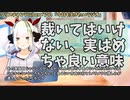 【#175】日本人クリスチャンVtuberが生き辛さ等をあーだこーだ言うラジオ