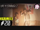 【LIS2＃20】凡人が行く兄弟狼旅