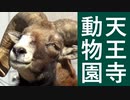 天王寺動物園へ行ったよ。（声の出演：さとうささら）【第二回地元紹介祭】
