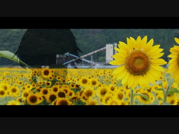 二束のアネモネ　第１話　　若狭みやがわひまわり園編　【VOICEROID車載】