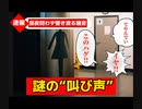 【騒音トラブル】昼夜問わず響き渡る叫び声【騒音おじさんRimix】