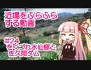 近場をふらふらする動画 #24 をくづれ水仙郷と佐久間ダム