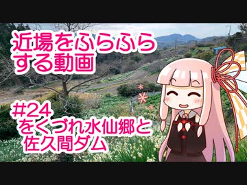 近場をふらふらする動画 #24 をくづれ水仙郷と佐久間ダム