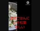 混ぜごはんにいそ松葉ほしいマラソンで５位を目指す混ぜごはん違った何故五番