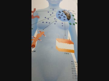 『羊達が、注射を受け入れれば、ジ・エンド』