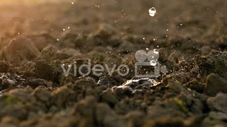 Waterdrops Falling On Soil Earth At Farm　細川康孝