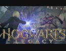 トロールを粉微塵にしてみた【Hogwarts Legacy】【ホグワーツ・レガシー】【実況】＃6
