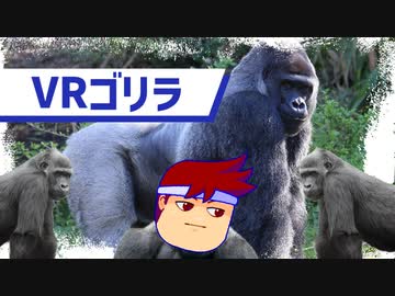 VRでも結局ゴリラが一番数字を持っている編。【バーチャルいいゲーマー佳作選】