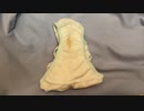 JDの下着紹介5