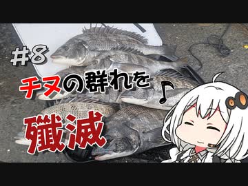 【誕生日×チヌフカセ釣り】気まぐれ黒鯛師の釣り風景その8【VOICEROIDフィッシング】