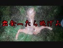 【ゆっくり解説】出会ったら逃げろ！超絶マイナーな未確認生物6選【UMA】