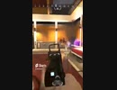 APEXの日常∩^ω^∩ □□□□□YouTubeショート版