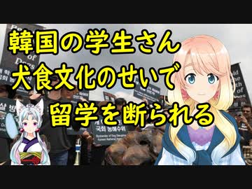 【韓国の反応】韓国の高校生が米国に留学しようとした結果、韓国の犬食文化のせいで断られていた事が判明【世界の〇〇にゅーす】