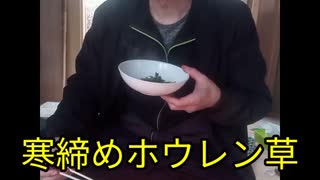 寒締めホウレン草を採って炒めて食べる