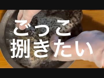ごっこ捌きたい。