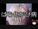 【ゆっくり朗読】ゆっくりさんと不思議な病気 その557