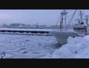 ぶらり散歩　#36　2023/2/10