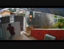 世界の衝撃的映像集Part86