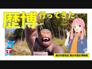 【地元紹介祭】歴博に行ってきました【横浜市都筑区】