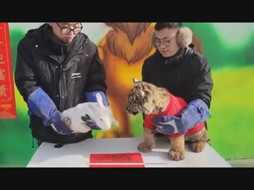 ホモと見る干支の引継ぎ式