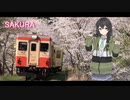 SAKURA / いきものがかり【Synthesizer V 花隈千冬 AI カバー 歌詞付き】