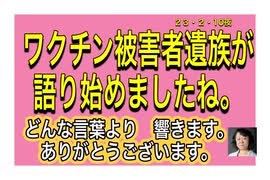 23/2/10夜　政府に殺される国民。もう終わりにしよう。