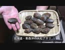 アサリと白菜の小鍋立て【長火鉢とおっさん296】