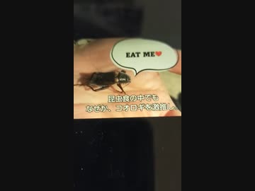 ビル・ゲイツ氏が、勧める『コウロギと雑草』の謎。